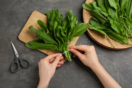 Woman tying bunch of sorrel leaves at gray table, top viewの写真素材