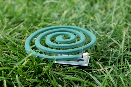 Smouldering insect repellent coil on grass outdoorsの写真素材