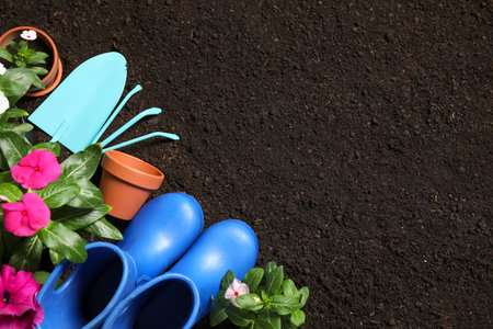 Flat lay composition with gardening equipment and flowers on soil, space for textの写真素材
