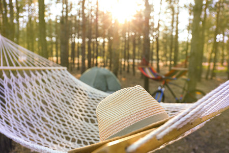 Hammock with hat in forest on summer dayの写真素材