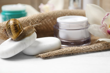 Snail, spa stones and cream on white table, closeupの写真素材