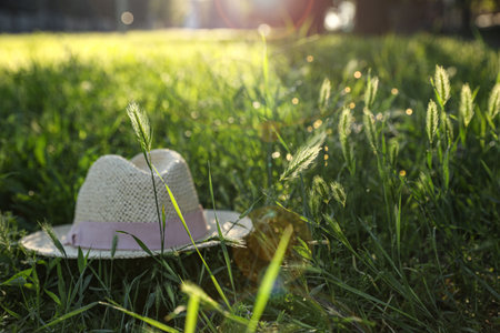 Straw hat in green meadow on sunny dayの写真素材