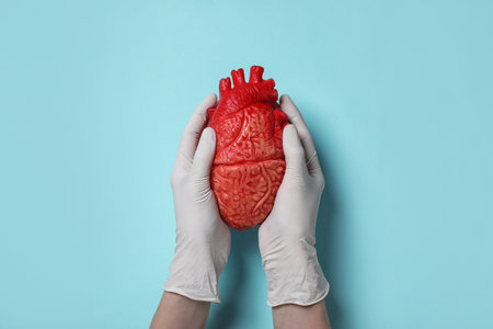 Doctor holding heart model on cyan background, top viewの写真素材