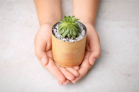 Child holding painted tin can with beautiful succulent at light table, closeupの写真素材