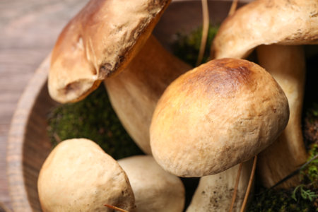 Fresh wild porcini mushrooms in wooden bowl, closeupの写真素材