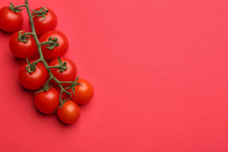 Branch with fresh cherry tomatoes on red background, top view. Space for textの写真素材