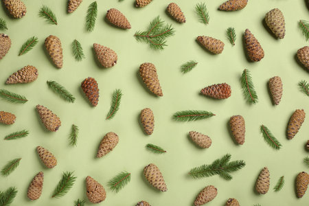 Flat lay composition with pinecones on green backgroundの写真素材