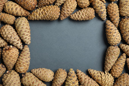 Frame of pinecones on dark background, flat lay. Space for text