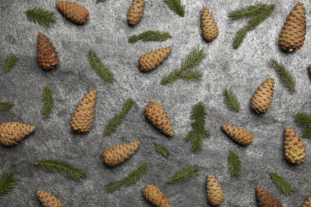 Flat lay composition with pinecones on gray background