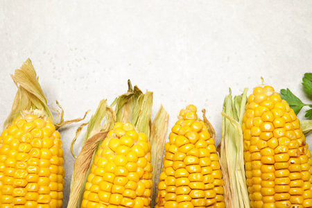 Delicious grilled corn cobs on light table, flat lay. Space for text