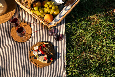 Red wine and different products for summer picnic served on blanket outdoors, flat layの写真素材