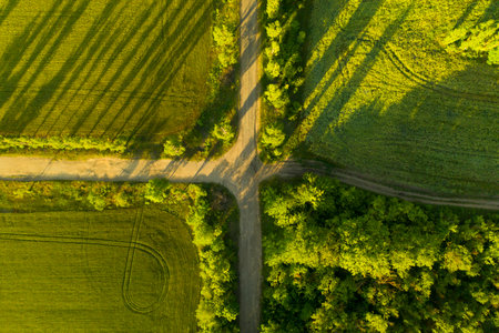 Beautiful aerial view of green fields and crossroad on sunny dayの写真素材