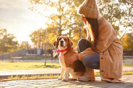 Woman walking her cute Beagle dog in autumn parkの写真素材
