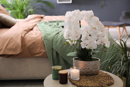 Beautiful white orchids and candles on table in bedroom, space for text. interior designの写真素材