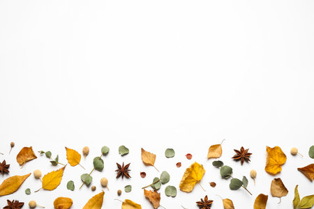 Flat lay composition with autumn leaves and space for text on white backgroundの写真素材