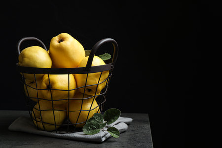 Fresh ripe organic quinces on gray table. Space for textの写真素材