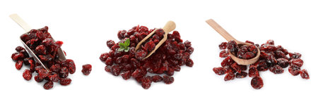Collage with dried cranberries on white background, banner designの写真素材