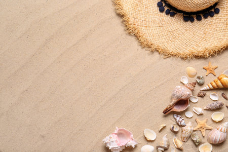 Straw hat, starfishes and seashells on beach sand, flat lay with space for text. Summer vacationの写真素材