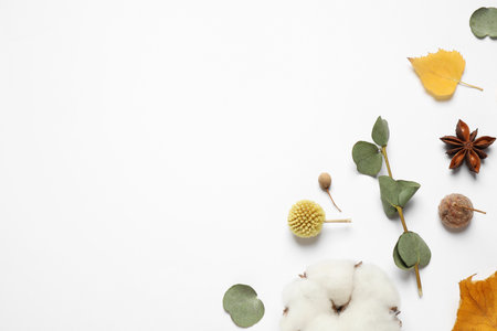 Flat lay composition with autumn leaves and space for text on white backgroundの写真素材