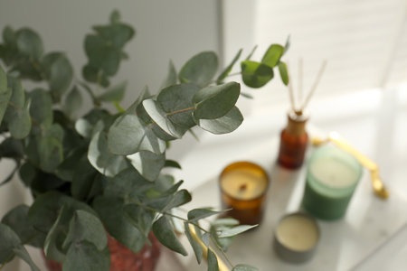 Eucalyptus branches, aromatic reed air freshener and candles on white table indoors, closeup....
