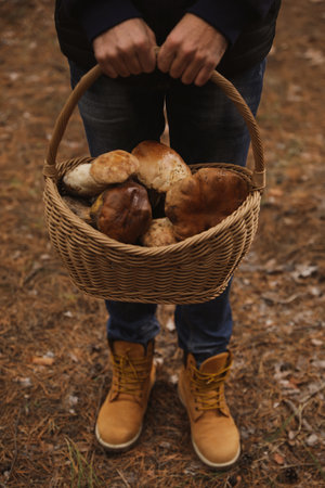 Man with basket full of wild mushrooms in autumn forest, closeupの写真素材