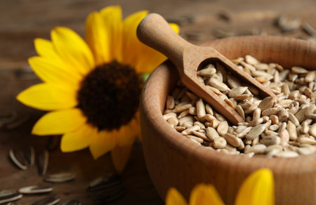 Organic sunflower seeds and flower on wooden table, closeupの写真素材
