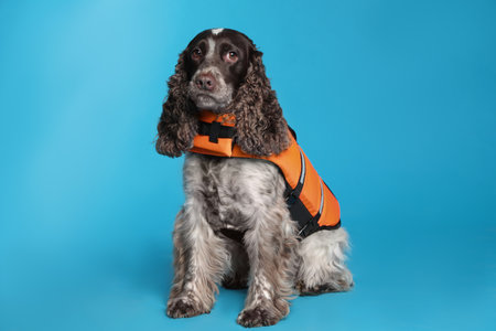 Dog rescuer in life vest on light blue backgroundの写真素材