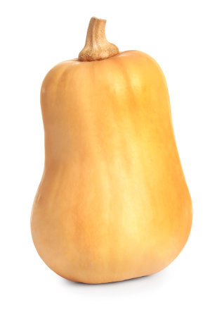 Fresh raw organic pumpkin isolated on whiteの写真素材