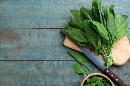 Fresh green sorrel leaves and knife on light blue wooden table, flat lay. Space for textの写真素材