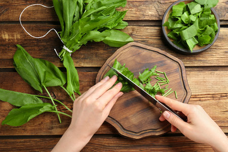 Woman cutting sorrel leaves on wooden table, top viewの写真素材