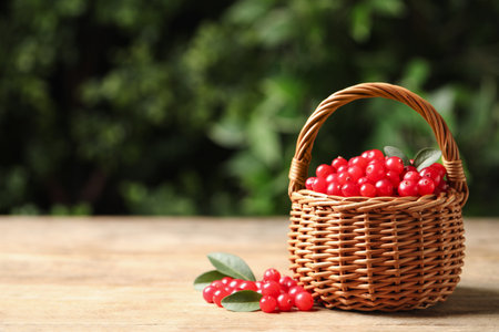 Ripe fresh cranberry in wicker basket on wooden table. Space for textの写真素材