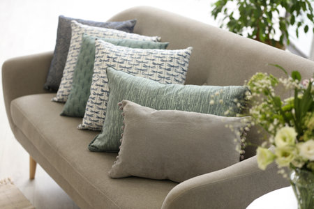 Sofa with pillows in modern living room interior