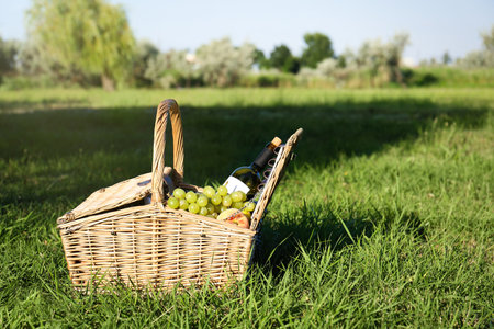 Picnic basket with snacks and bottle of wine on green grass in parkの写真素材