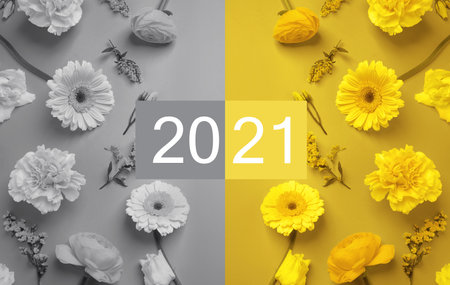 Color of the year 2021. Beautiful flowers, flat layの写真素材