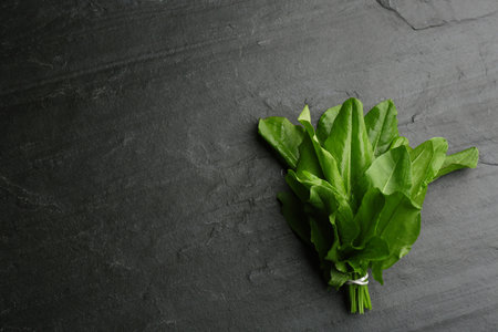 Bunch of sorrel on dark grey background, top view. Space for textの写真素材
