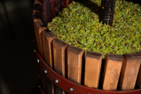 Wooden wine press with grape must indoors, closeupの写真素材