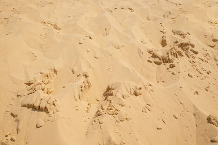 Dry sand in desert on sunny day as background