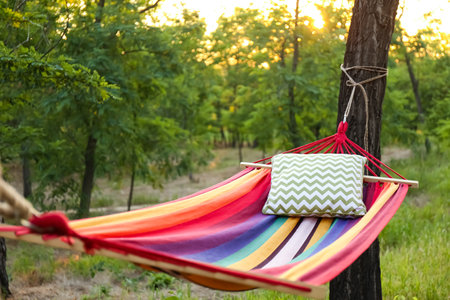 Comfortable bright hammock with soft pillow at green gardenの写真素材