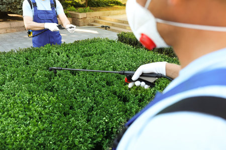 Workers spraying pesticide onto green bush outdoors, closeup. Pest controlの写真素材