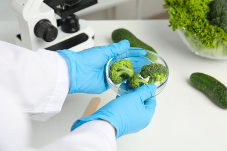 Scientist holding Petri dish with broccoli over table in laboratory, closeup. Poison detectionの写真素材