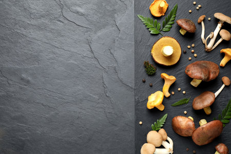 Different mushrooms, thyme and pepper on grey background, flat lay. Space for textの写真素材