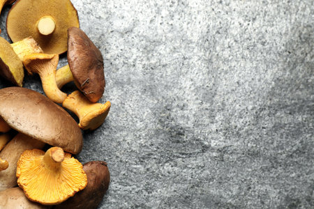 Different mushrooms on grey background, flat lay. Space for textの写真素材