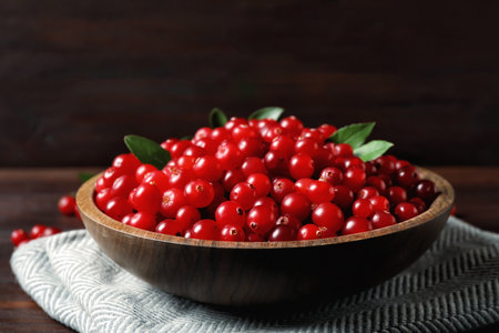 Plate with tasty ripe cranberries on table, closeupの写真素材