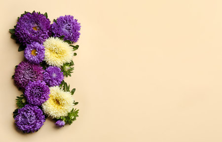 Beautiful asters and space for text on beige background, flat lay. autumn flowersの写真素材