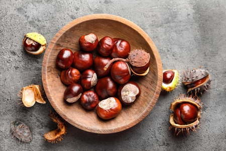Horse chestnuts in wooden plate on gray table, flat layの写真素材