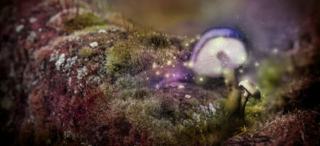 fantasy world. Mushrooms with magic lights in enchanted forest, banner designの写真素材