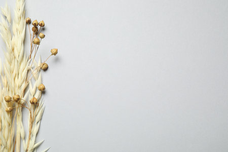 Bouquet of dried flowers on light gray background, flat lay. Space for textの写真素材