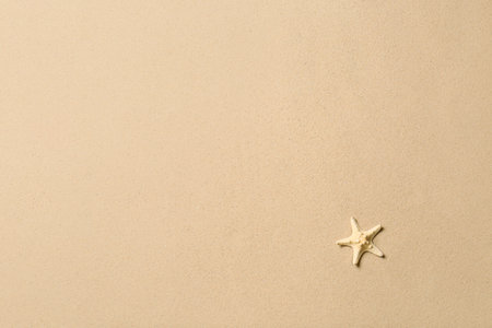 Beautiful starfish and space for text on beach sand, top view. summer holidaysの写真素材