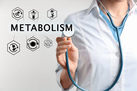Metabolism concept. Doctor with stethoscope on light background, closeupの写真素材
