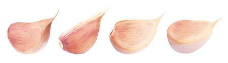 Set of fresh garlic cloves on white background. banner designの写真素材